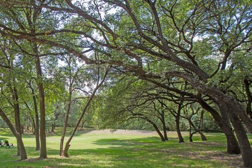 Creek Ledge Central Austin Nation Holdings Real Estate