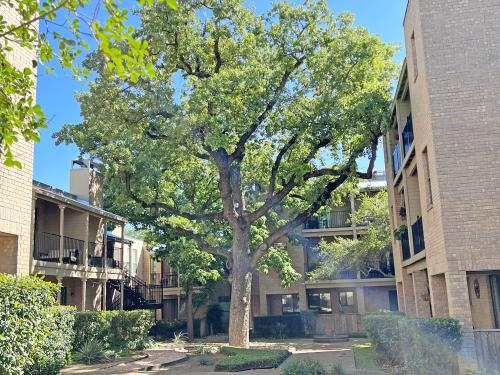 Welcome home to the Quadrangle by the University of Texas