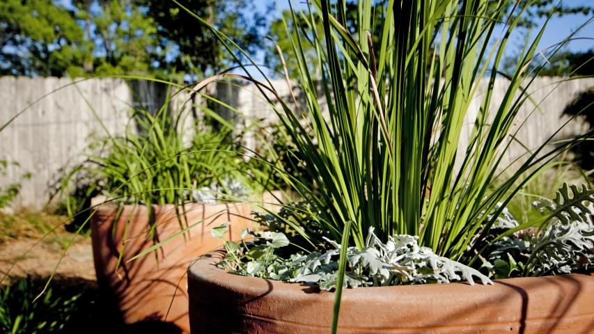 Hancock Pool House - Yard