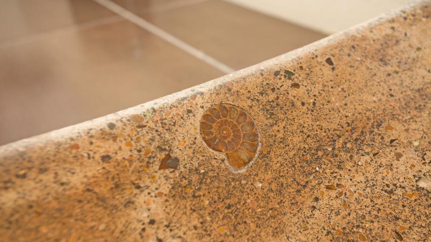 3102 Pinecrest Central Austin Realtor: Rachel Nation Nation Holdings LLC