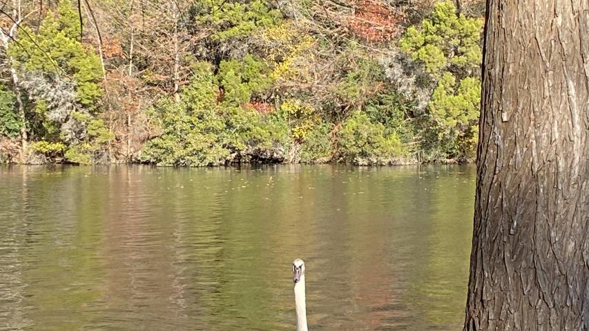 Handsomely redesigned home in the Courtyard.